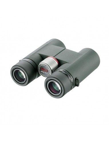 Binocolo Kowa BD 8x32 XD Prominar - KOWA