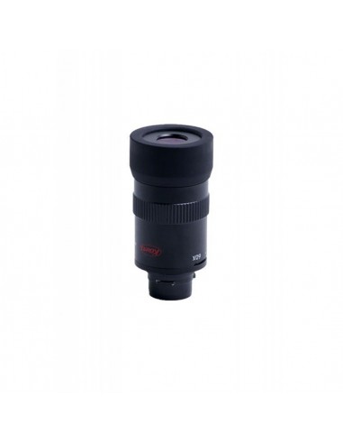 Canocchiale KOWA TSN-601 Angled  - KOWA