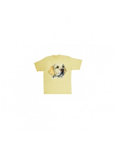 T-shirt labrador - UDB