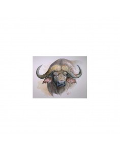 T-shirt bufalo by R.... 2