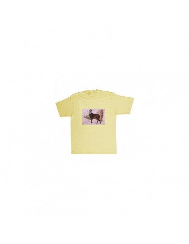 T-shirt camoscio by R. BIANCHI - UDB