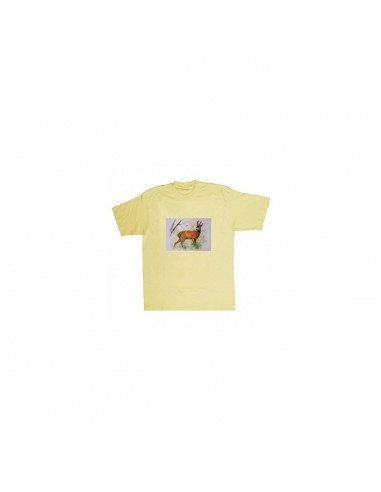 T-shirt capriolo by R. BIANCHI - UDB