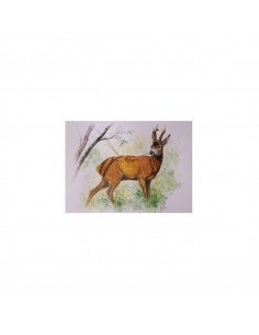 T-shirt capriolo by R.... 2