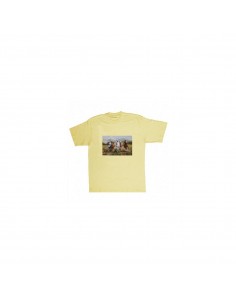 T-shirt cavalli by R....