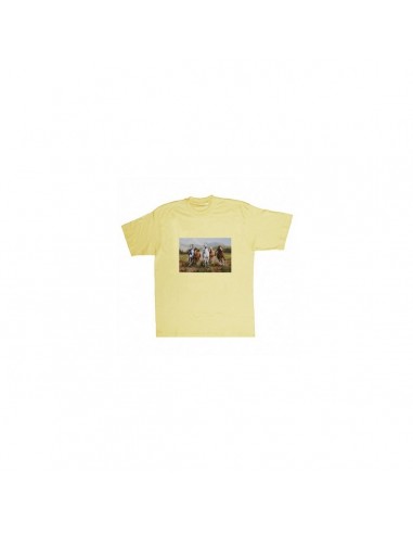 T-shirt cavalli by R. BIANCHI - UDB