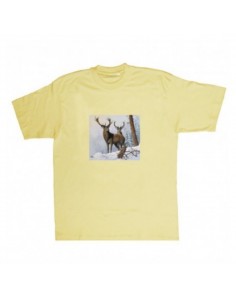 T-shirt cervi by R. BIANCHI...