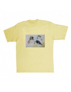 T-shirt falchi by R....