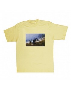T-shirt gallo forcello by...