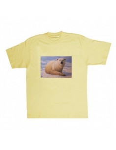 T-shirt orso polare by R....