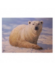 T-shirt orso polare by R.... 2