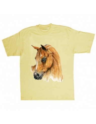 T-shirt cavallo arabo - UDB