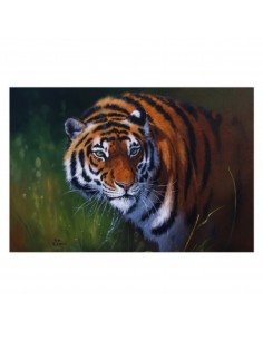 T-shirt tigre by R. BIANCHI... 2