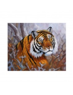 T-Shirt tigre by R. BIANCHI... 2