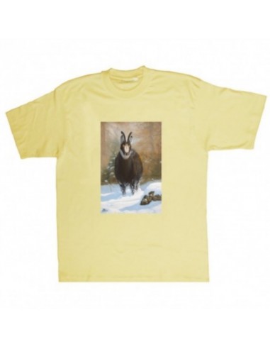T-shirt camoscio by R. BIANCHI - UDB