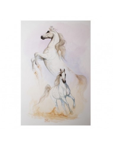 T-shirt cavallo arabo by R. BIANCHI -...