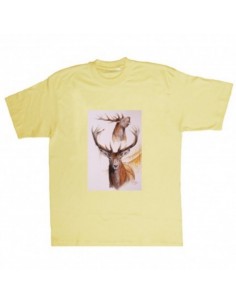 T-shirt cervo by R. BIANCHI...