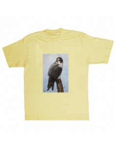 T-shirt falco by R. BIANCHI...