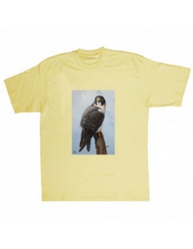 T-shirt falco by R. BIANCHI - UDB