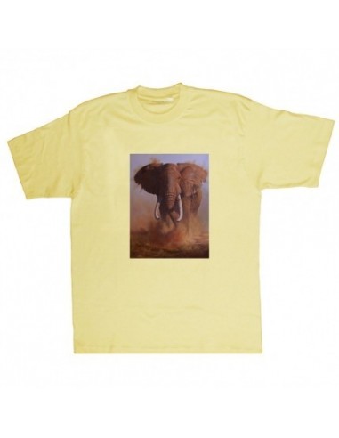 T-shirt elefante by R. BIANCHI - UDB