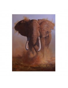 T-shirt elefante by R.... 2