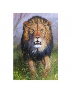 T-shirt leone by R. BIANCHI... 2