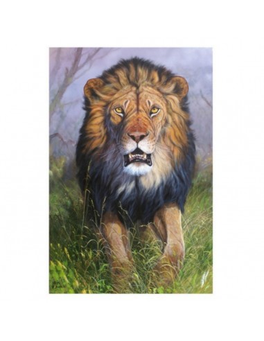 T-shirt leone by R. BIANCHI - UDB