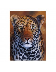 T-shirt leopard by R.... 2