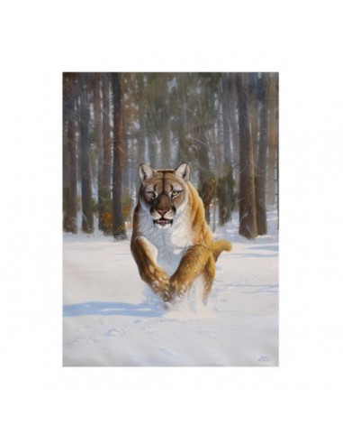 T-shirt puma by R. BIANCHI - UDB