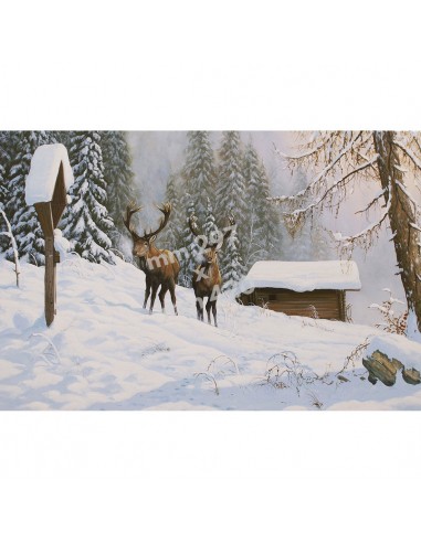 Stampa Cervi da quadro di R. Bianchi...