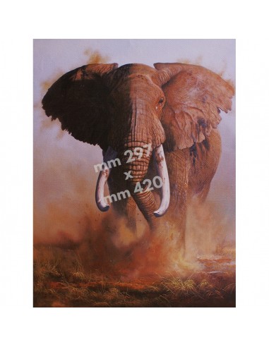 Stampa Elefante da quadro di R....