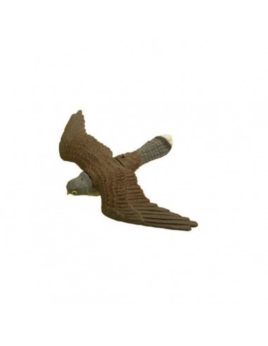 Falcon In Flight With Flexible Cable...