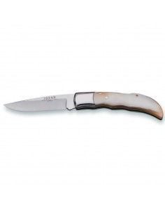 Knife with bull horn...