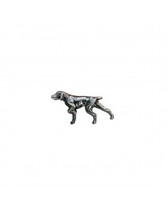 Bracco Italiano en broche...