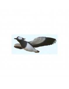 Lapwing In Flight With...