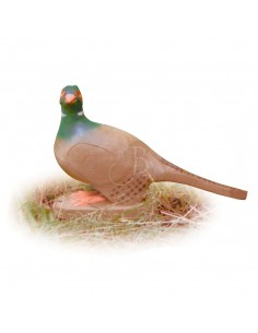 Pheasant 3D silhouette - A.A.