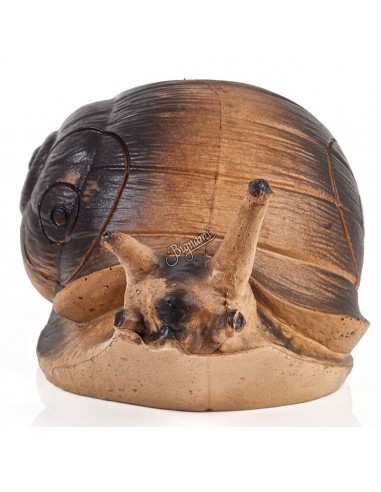 3D Snail silhouette - A.A.