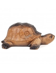 Sagoma 3D Tartaruga - A.A. 2