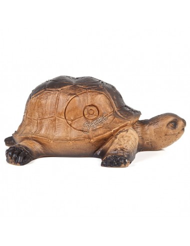 Silueta de tortuga 3D - A.A.