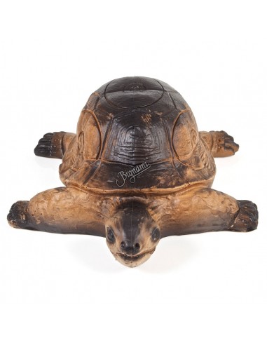 Silueta de tortuga 3D - A.A.
