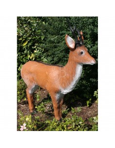 Alert Roe Deer 3D...