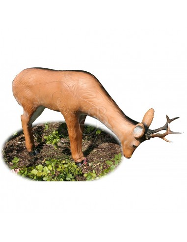 Sagoma 3D Capriolo Che Beve - A.A.