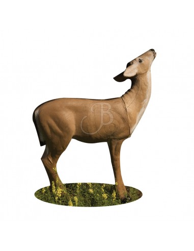 Sagoma 3D Cerva Che Mangia - A.A.