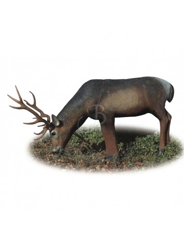 3D Silhouette Red Deer Drinking - A.A.
