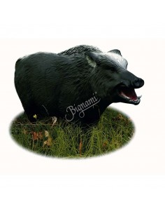 3D Boar Silhouette - A.A.