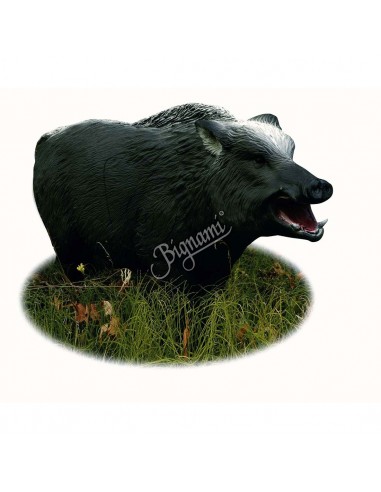 3D Boar Silhouette - A.A.