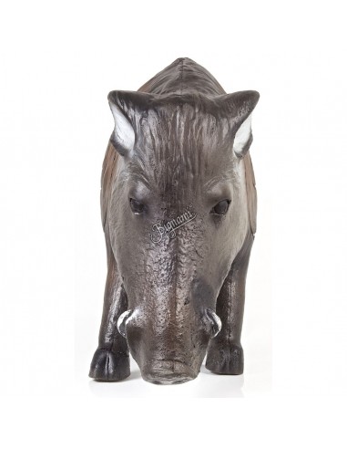 Sagoma 3D Cinghiale Che Grufola - A.A.