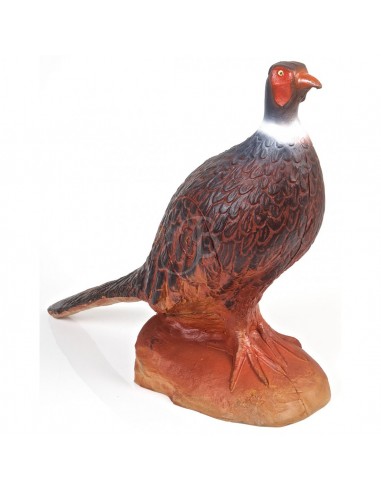 3D Pheasant Silhouette On Rock - A.A.