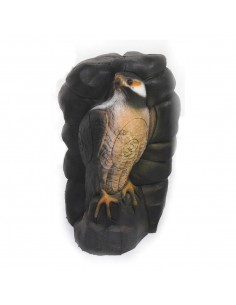 3D Silhouette Hawk In The...