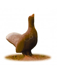 Sagoma 3D Gallo Cedrone - A.A.