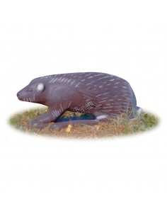 Sagoma 3D Istrice - A.A.